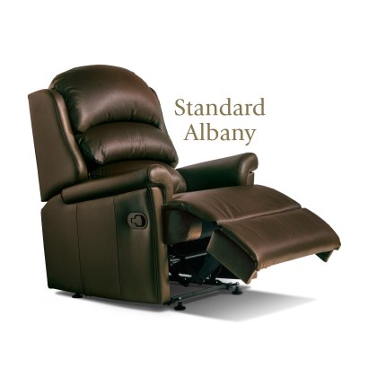 Albany Standard Rechargeable Powered Recliner