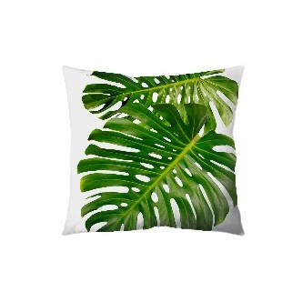 Nature Cushion