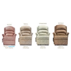 Albany Standard 2-motor Electric Riser Recliner