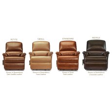Nevada Small 2-motor Electric Riser Recliner