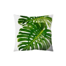 Nature Cushion