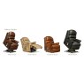 Albany Standard 2-motor Electric Riser Recliner Albany Standard 2-motor Electric Riser Recliner
