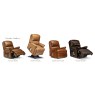 Nevada Small 2-motor Electric Riser Recliner Nevada Small 2-motor Electric Riser Recliner