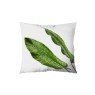 Nature Cushion Nature Cushion