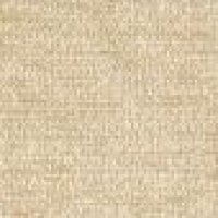A071-Boucle_Oyster