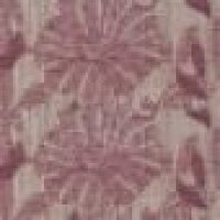 B_Summerton_Berry